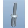 Push Rivet Blunt