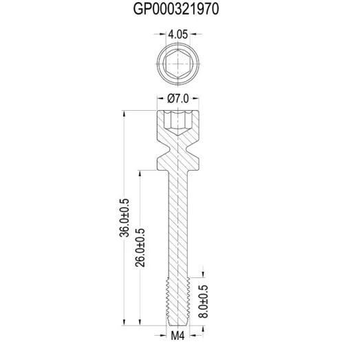 GP000321970 Series | Scherheitsschraube Kunststoff | Gecko Fastener GmbH