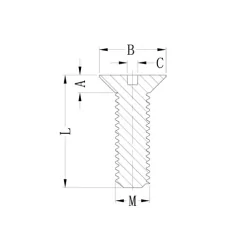 GCSHS-2009 / NSE-2009 | Vis plastique à fente | Gecko Fastener GmbH 2