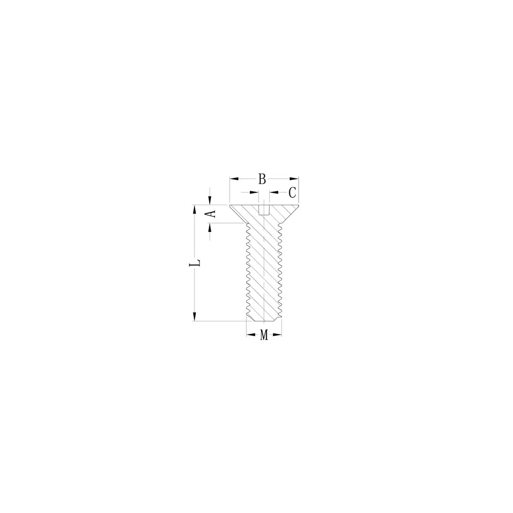 GCSHS-2009 / NSE-2009 | Plastic schroeven met sleuf | Gecko Fastener GmbH