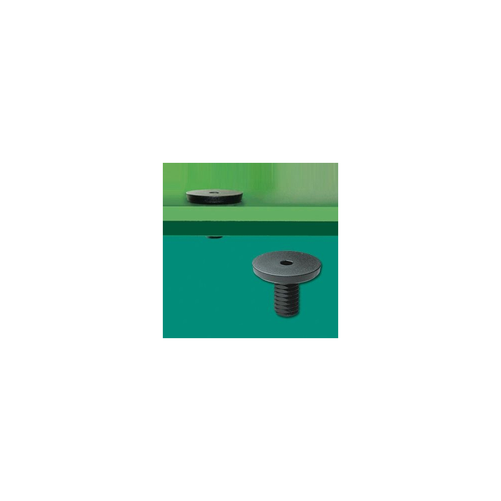 GS-610TY - Tornillo de plástico | Gecko Fastener GmbH