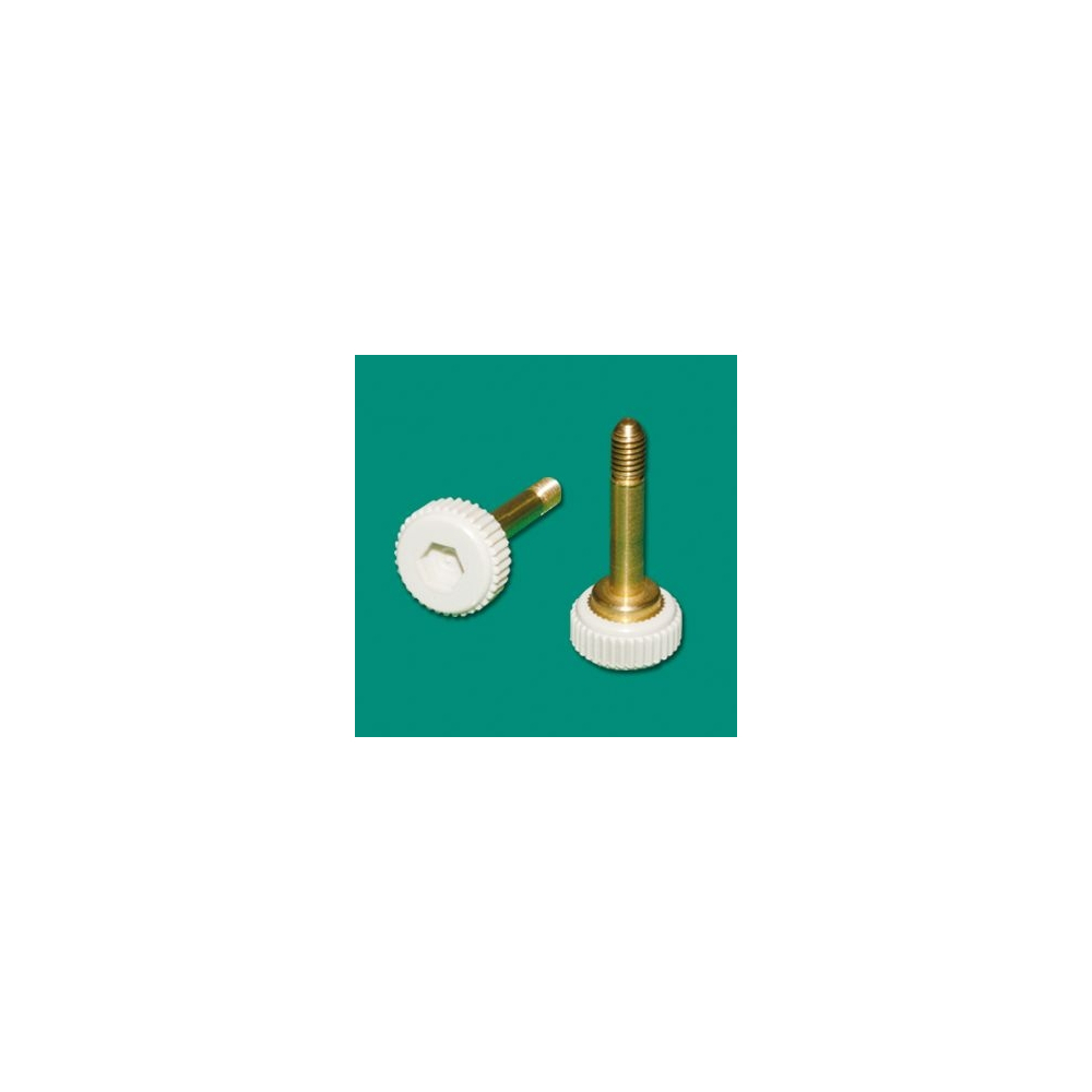 GSW4-29 - Screw | Gecko Fastener GmbH